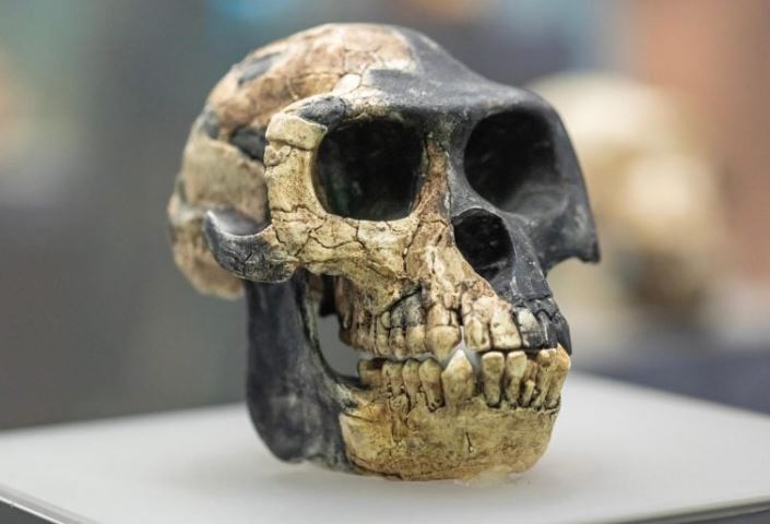 Những chiếc răng mới được phát hiện ở Ethiopia cho thấy con người thời kỳ đầu đã cùng tồn tại với một loài họ hàng bí ẩn, định hình lại hiểu biết của chúng ta về nguồn gốc loài người. Nguồn: Shutterstock.