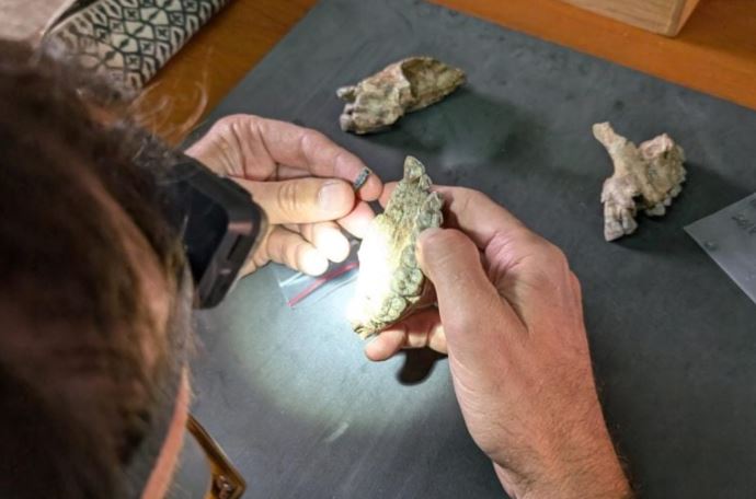 Phó giáo sư Lucas Delezene của Đại học Arkansas so sánh một trong những chiếc răng cửa mà nhóm phát hiện với một chiếc răng hàm trên của Australopithecus từ Hadar tại Bảo tàng Quốc gia Ethiopia. Nguồn: Amy Rector