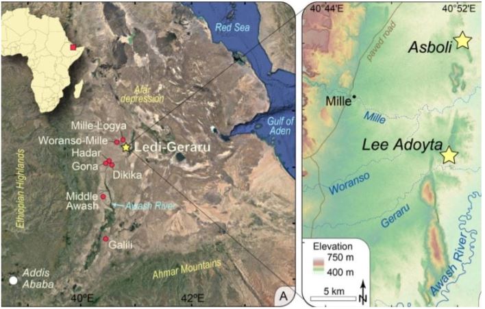 Bản đồ hiển thị (bên trái) vị trí của địa điểm Ledi‑Geraru trong vùng Sừng châu Phi và (bên phải) vị trí của răng người Australopithecus và Homo. Nguồn: Erin DiMaggio