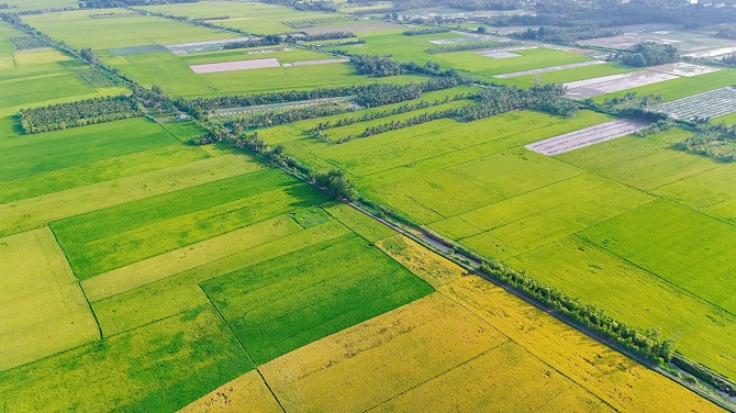 Bảo đảm nguồn nước ngọt cho sản xuất và dân sinh mùa khô.