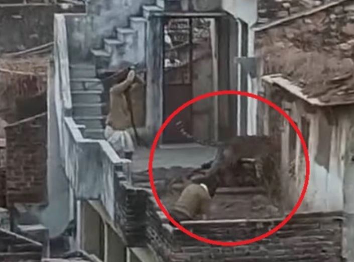 Ảnh cắt từ clip.