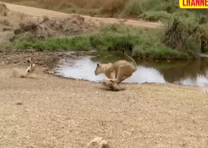 Ảnh cắt từ clip.