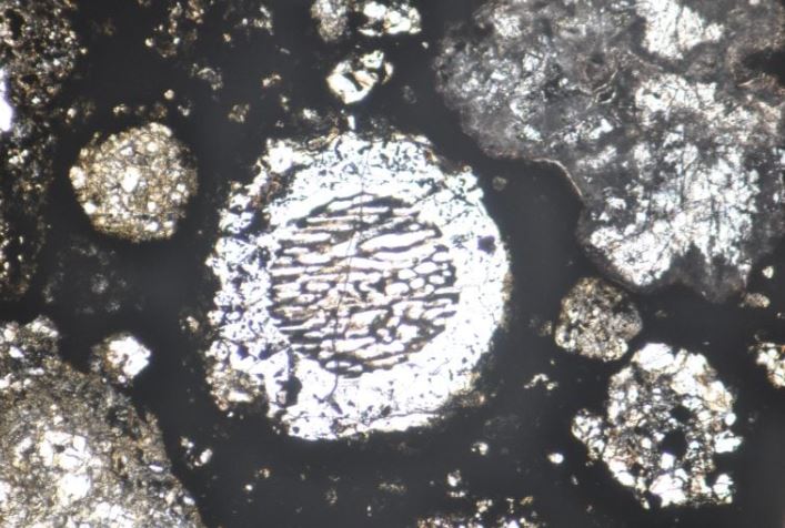 Các chondrule tròn có thể nhìn thấy trên một phần mỏng của thiên thạch Allende dưới kính hiển vi. Nguồn: Akira Miyake, Đại học Kyoto