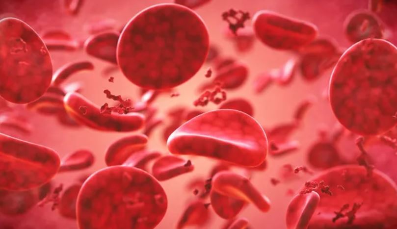 Hình minh họa về các tế bào hồng cầu trong huyết tương. Nguồn ảnh: Getty.