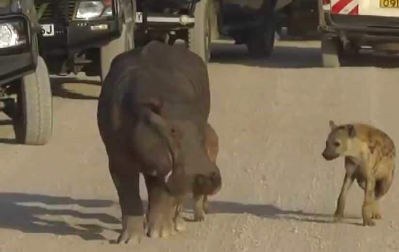 Ảnh cắt từ clip.