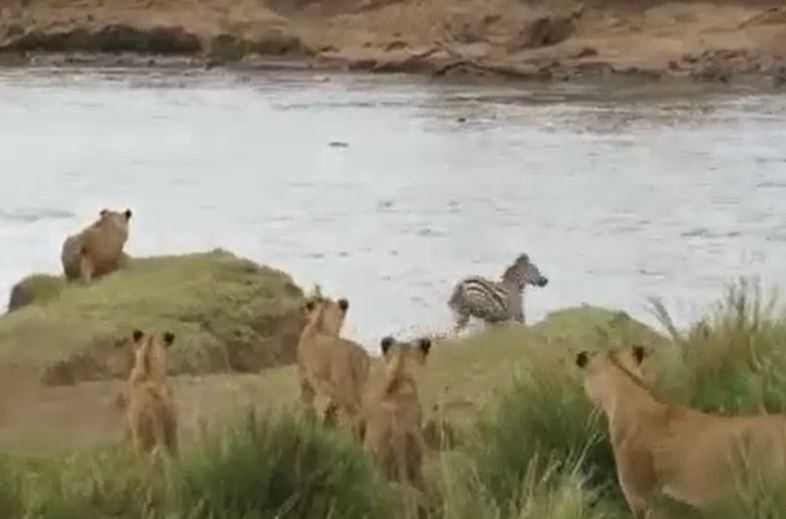 Ảnh cắt từ clip.