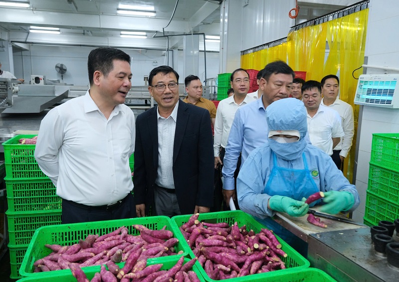 Bộ trưởng Bộ Công Thương Nguyễn Hồng Diên khảo sát tình hình sản xuất của Công ty Viên Sơn.