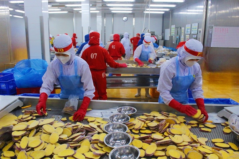 Sau sáp nhập, kinh tế Lâm Đồng tăng tốc rõ rệt.