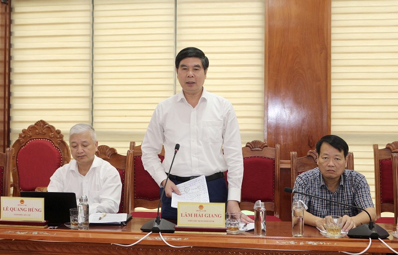 Ông Lâm Hải Giang - Phó Chủ tịch UBND tỉnh Gia Lai, phát biểu tại buổi làm việc.