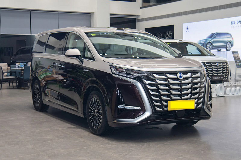 Denza D9 Supreme Edition.