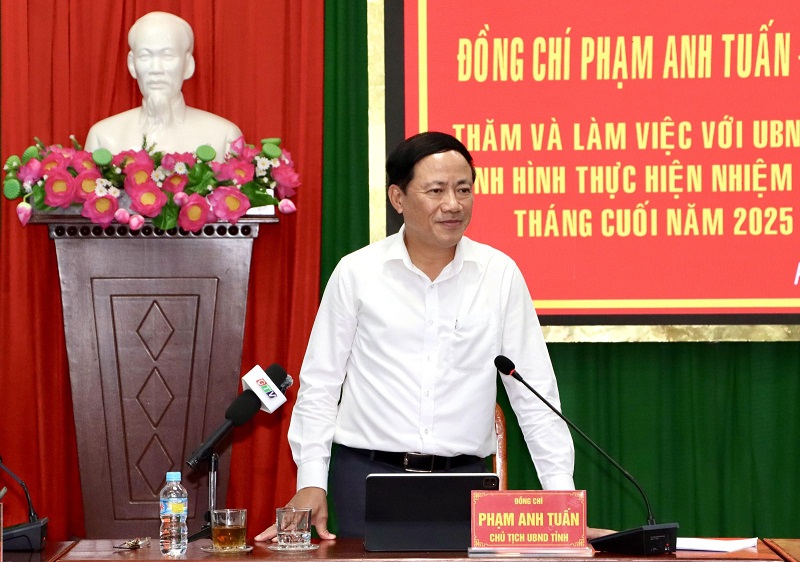 Chủ tịch UBND tỉnh Gia Lai Phạm Anh Tuấn kết luận buổi làm việc.