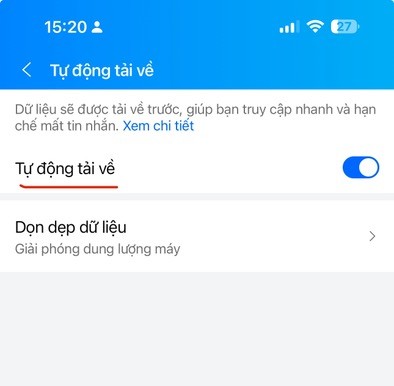Gạt nút để tắt chế độ Tự động tải về.