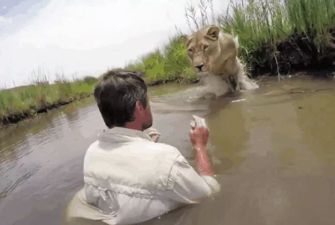 Ảnh cắt từ clip.