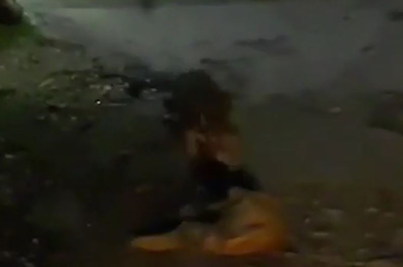 Ảnh cắt từ clip.