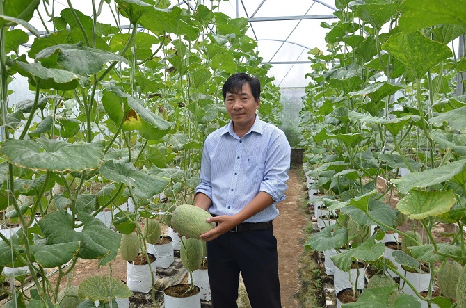 3/ Ông Hồ Quốc Trạng ứng dụng công nghệ cao trồng dưa lưới trong nhà màng, dưa được tưới nhỏ giọt Israel trên giá thể.