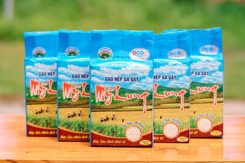 Gạo nếp gà gáy Mỹ Lung. Ảnh: HTX gạo nếp gà gáy Mỹ Lung.