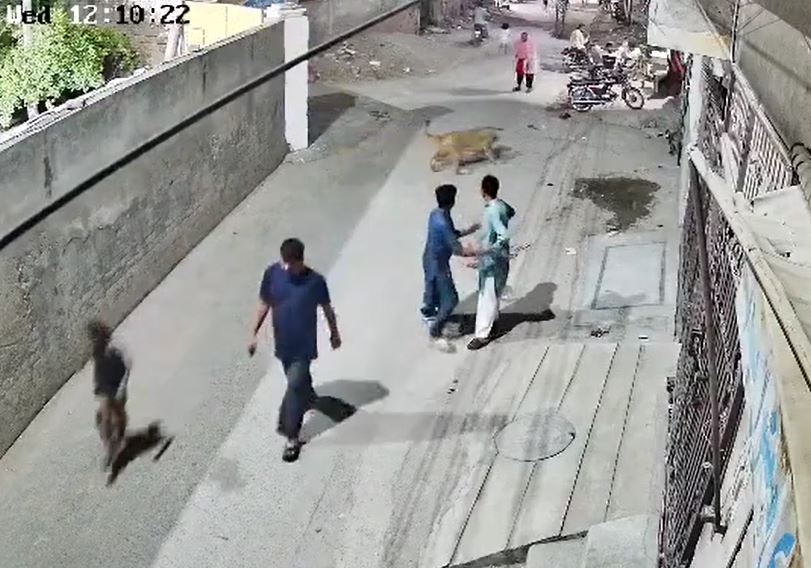 Ảnh cắt từ clip.