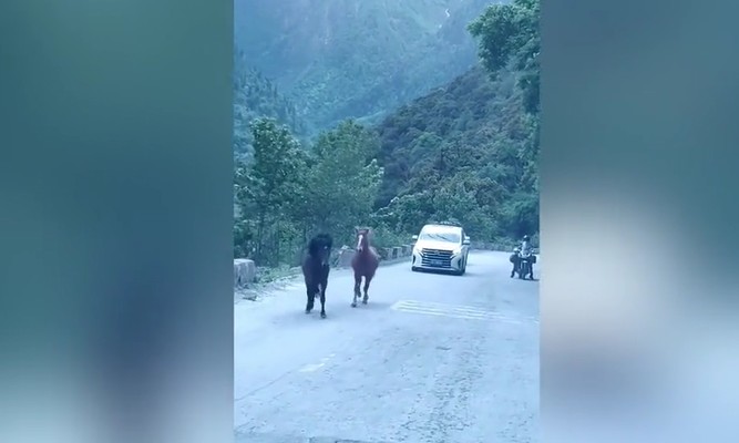 Ảnh cắt từ clip.