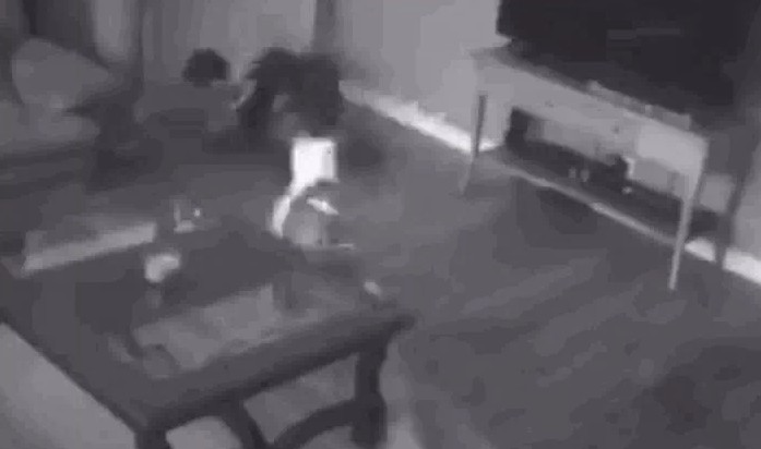 Ảnh cắt từ clip.