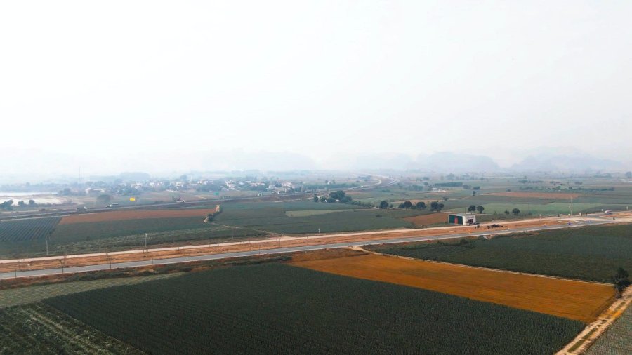 Một phần thảo nguyên dứa Tam Điệp