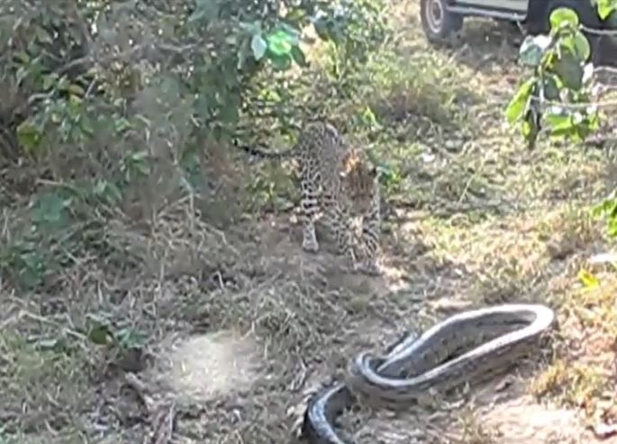 Ảnh cắt từ clip.