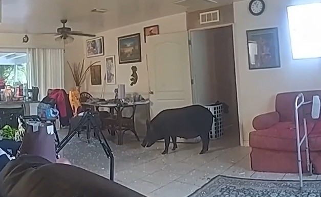 Ảnh cắt từ clip.