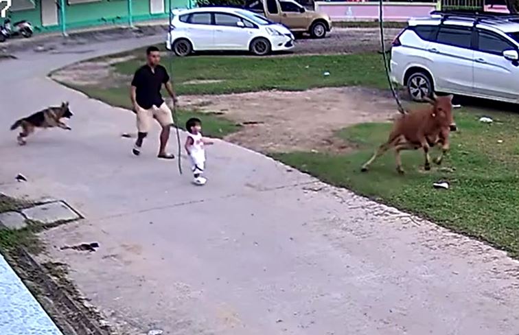 Ảnh cắt từ clip.