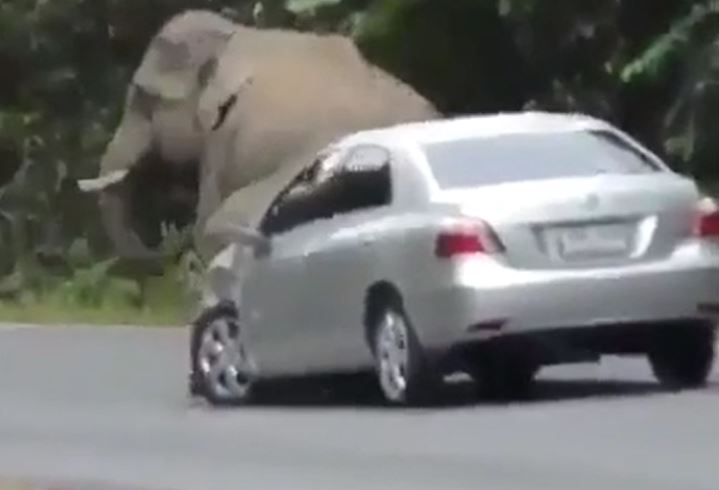 Ảnh cắt từ clip.