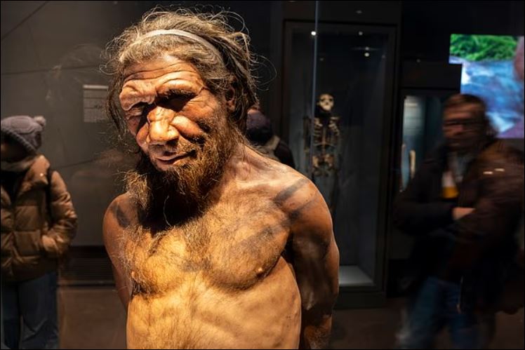 Con người tách ra từ tinh tinh và bonobo khoảng sáu đến 10 triệu năm trước.