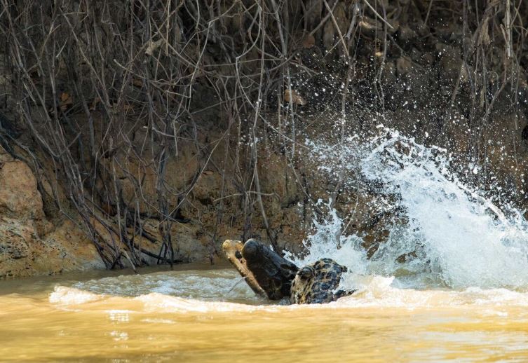 Ảnh: National Geographic.