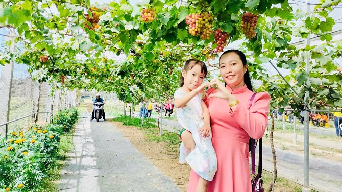 Vườn nho Thiện Nhi - điểm hẹn du lịch sinh thái miệt vườn ở Vĩnh Long (Ảnh 1)