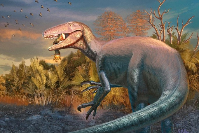 "Bạo chúa phương Nam" Joaquinraptor casali - Ảnh đồ họa: Andrew McAfee