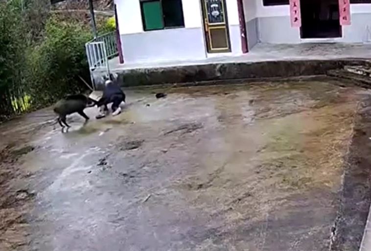 Ảnh cắt từ clip.