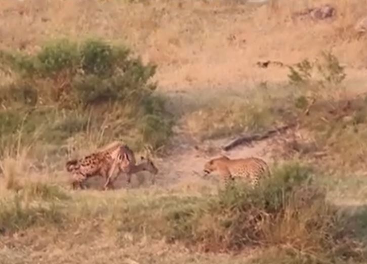 Ảnh cắt từ clip.