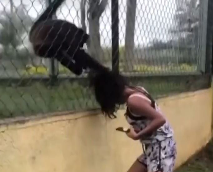 Ảnh cắt từ clip.