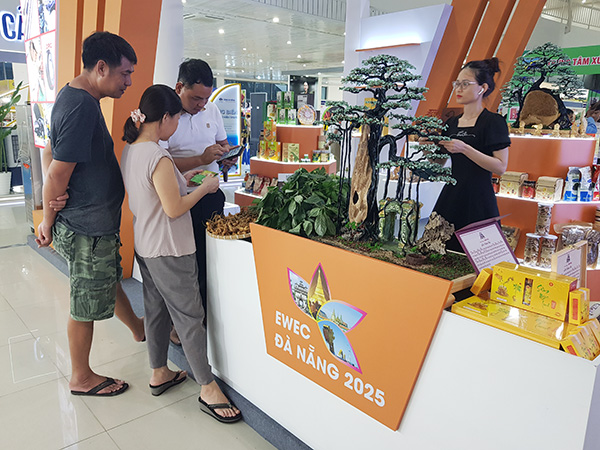 Hội chợ EWEC - Đà Nẵng 2025 khai mạc tối 1/10.