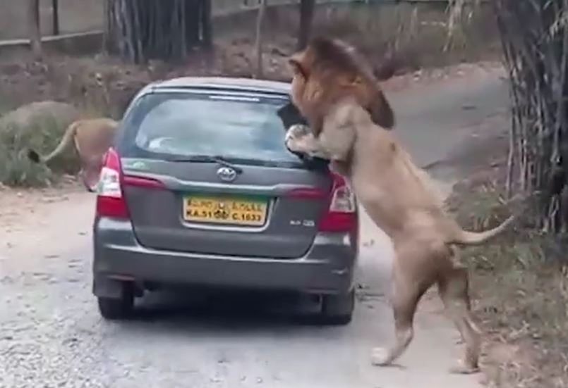 Ảnh cắt từ clip.