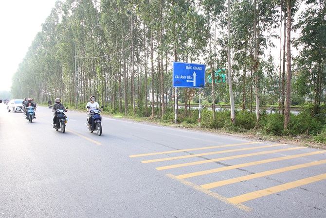 Đường gom cao tốc Hà Nội - Bắc Giang