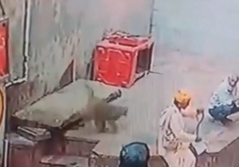 Ảnh cắt từ clip.