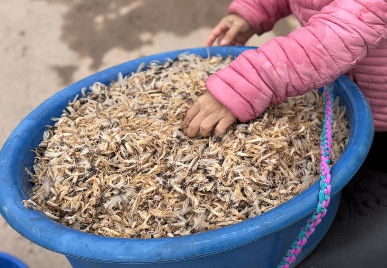 Ảnh: Nguyễn Ngọc Phóng.