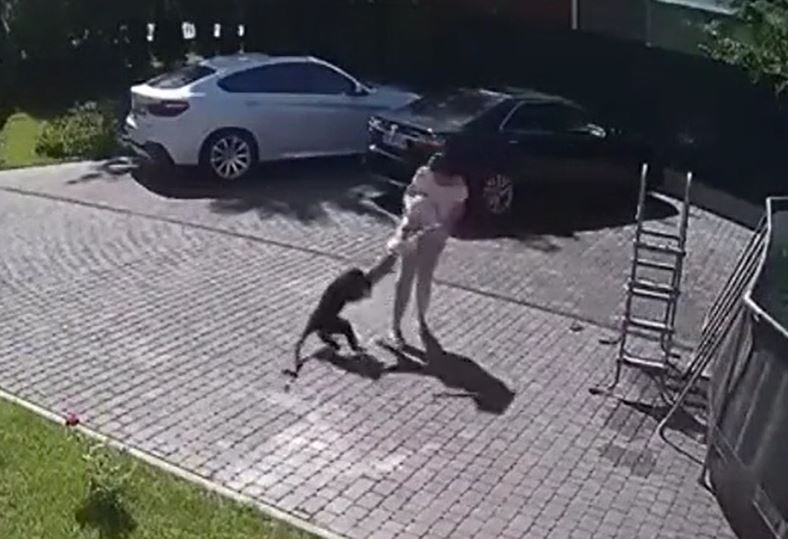 Ảnh cắt từ clip.