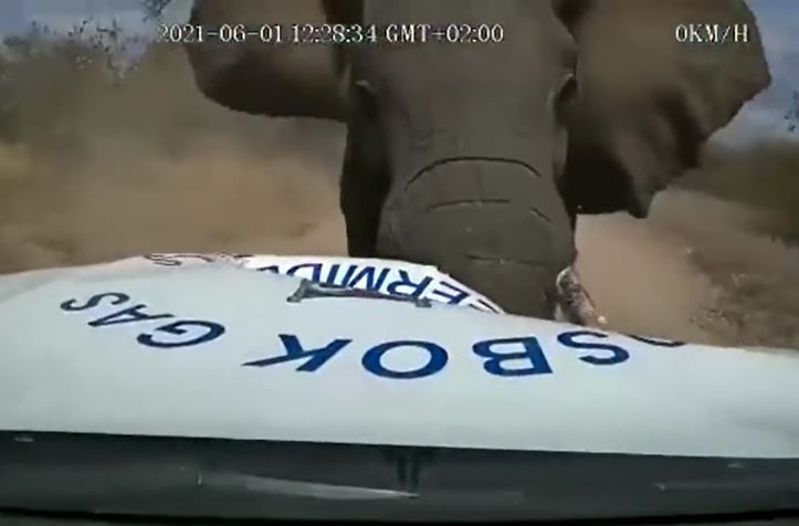 Ảnh cắt từ clip.