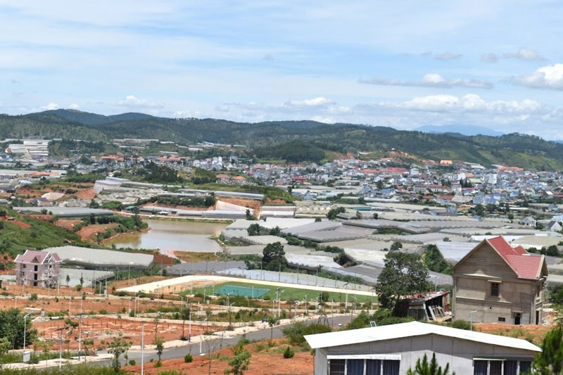 Ảnh: Báo Lâm Đồng.