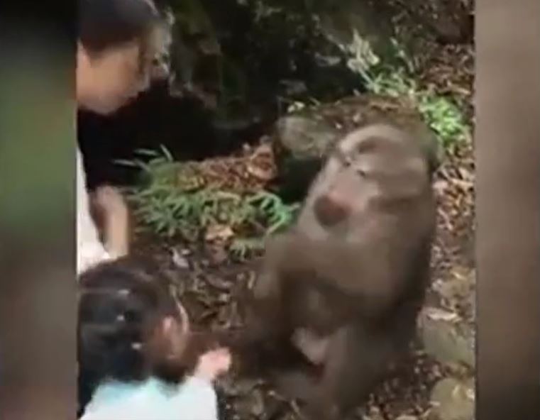 Ảnh cắt từ clip.