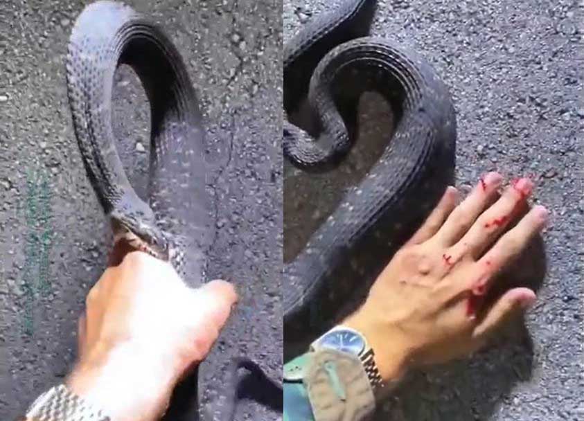 Ảnh cắt từ clip.