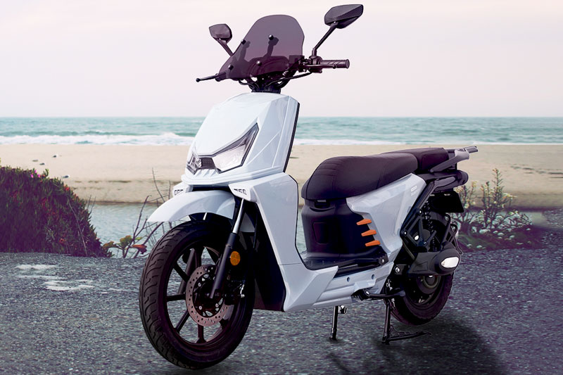 Blueshark Soloera Solo 2.