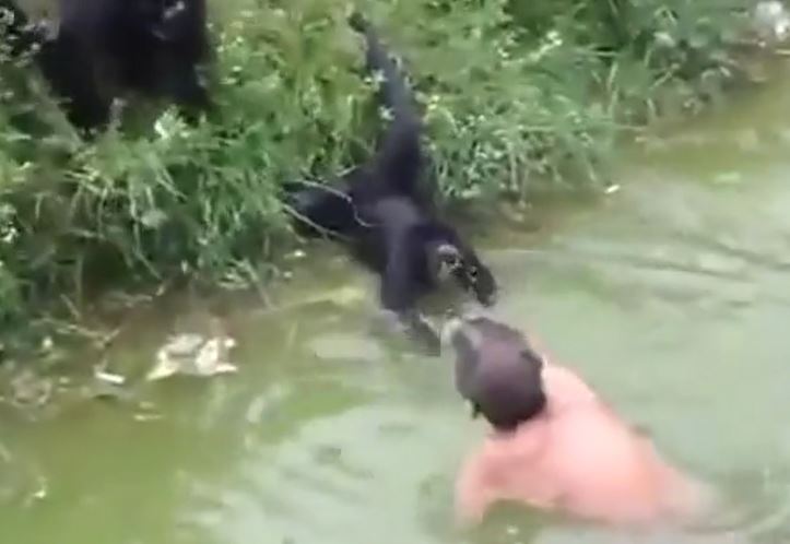 Ảnh cắt từ clip.