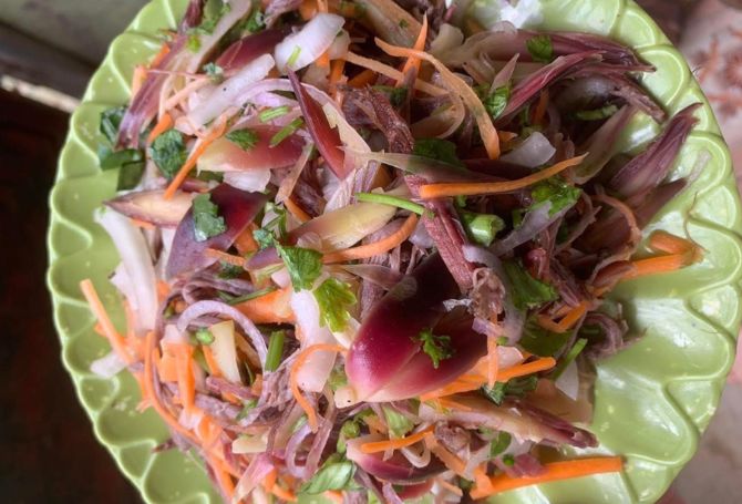 Loài rau rừng ít người ăn ở Việt Nam lại là "nhân sâm" bên Nhật