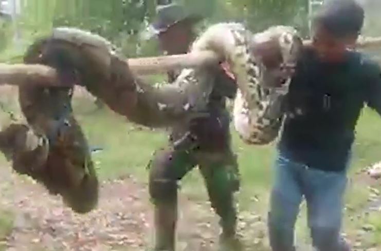 Ảnh cắt từ clip.