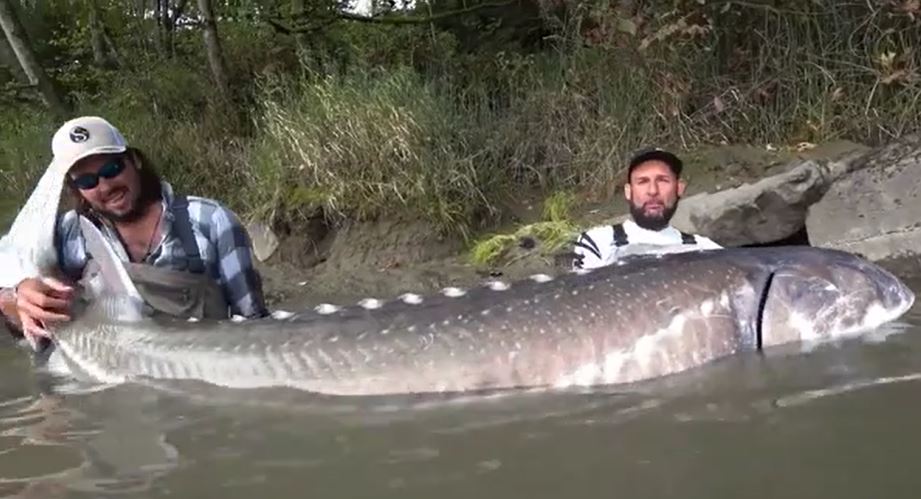 Ảnh cắt từ clip.